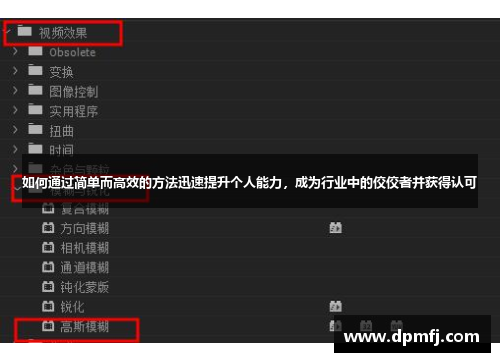 如何通过简单而高效的方法迅速提升个人能力，成为行业中的佼佼者并获得认可